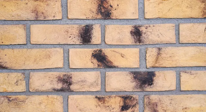 Platinium Weathered Buff el yapımı pişmiş kil