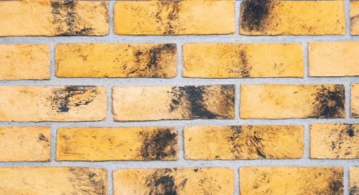 Platinium Weathered Yellow Buff el yapımı pişmiş kil