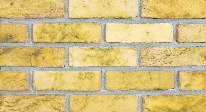 Premium Winsorn el yapımı pişmiş kil