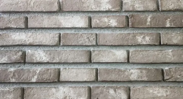 Premium uygulama görünümü